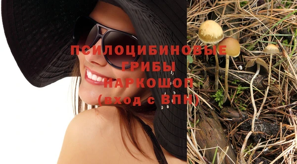 ECSTASY Кулебаки