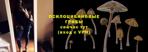 стафф Кукмор