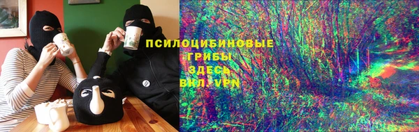 прущие крисы Билибино