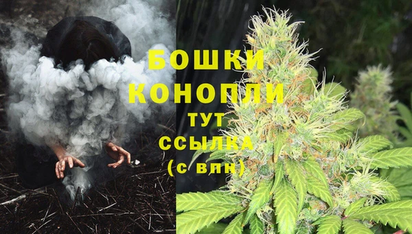 крисы Куйбышев