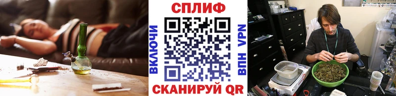 Купить где Карачаевск Бошки Шишки сатива